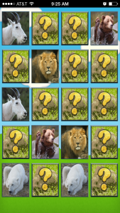 animal_match